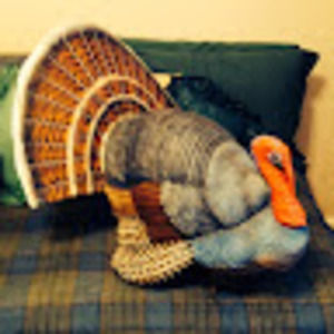 Meet your Posher, Tony